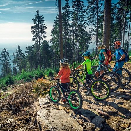 Ski Villa Rubicon Loučná pod Klínovcem Eksteriør billede
