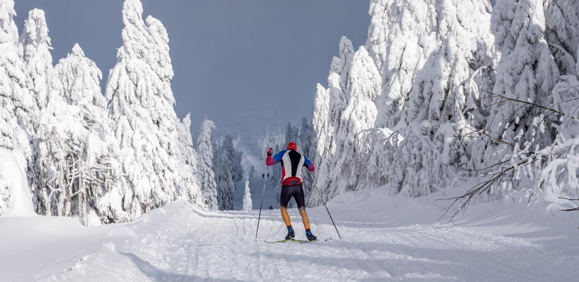 Ski Villa Rubicon Loučná pod Klínovcem Eksteriør billede